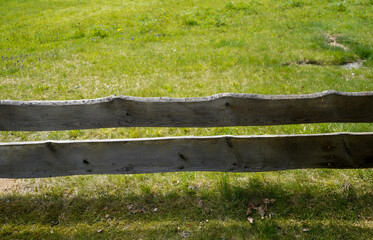 fence and green grass