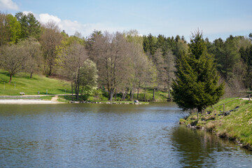 Bavarian Forest in spring with fresh greenery and blossoming trees