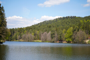 Bavarian Forest in spring with fresh greenery and blossoming trees