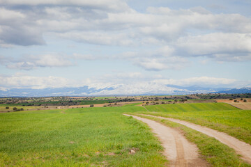 Fototapeta na wymiar landscape with road and sky