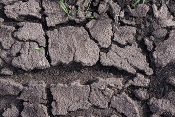 Cracked earth soil as a texture background. Top view.