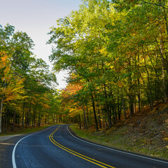 Obraz premium Deserted curvy road through a green forest with some orange leaves in the fall.