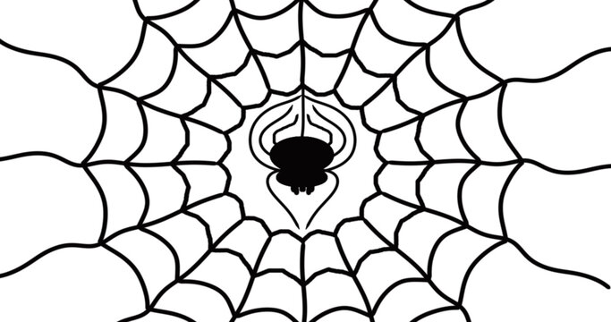 Spider Web Silhouette Black White Background Vector Illustration