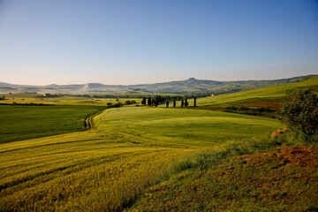 Obraz premium Val d'Orcia, Toscana. Panorami