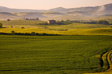 Fototapeta na wymiar Val d'Orcia, Toscana. Panorami