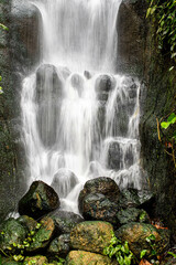 rainforest waterfall