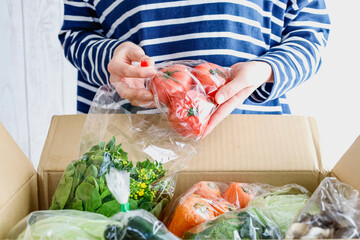 箱いっぱいの野菜と女性