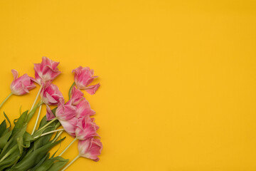 A beautiful composition of spring flowers. Bouquet of pink tulips on a yellow background. Valentine's Day, Easter, Birthday, Happy Women's Day, Mother's Day. space for text