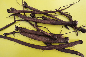 burdock root