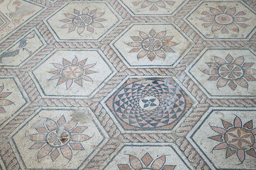 Ancient roman floor mosaic with mythological scene, called The Punishment of Dirce, found in Pula, Croatia