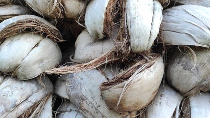 Piles of old coconuts on the side of the road in Pangandaran, Indonesia