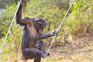 多摩動物公園