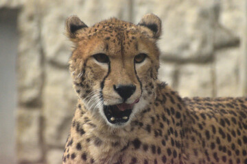 多摩動物公園