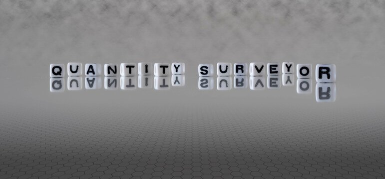 quantity surveyor word or concept represented by black and white letter cubes on a grey horizon background stretching to infinity