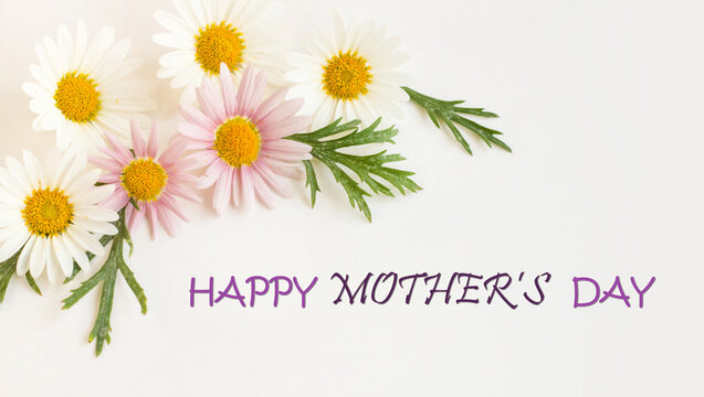 Happy mothers day written greeting card with fresh daisies on white background.