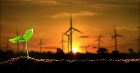 The Sapling are growing from the soil with silhouette of wind turbine farm on blue sky background....