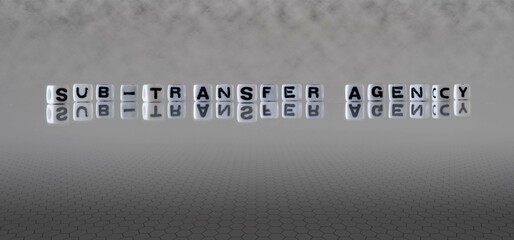 sub transfer agency word or concept represented by black and white letter cubes on a grey horizon...