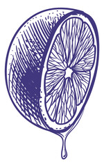 Ripe citrus sketch. Lemon with dripping juice engraving