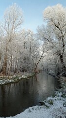Winter, river, trees and snow