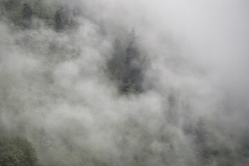 Dramatic fog over forest and dark mood in the mountains - Königssee Alps