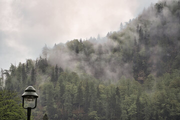 Dramatic fog over forest and dark mood in the mountains - Königssee Alps