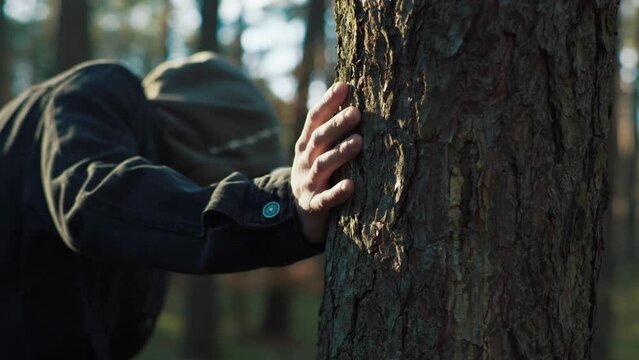 man touches a pine tree in the forest