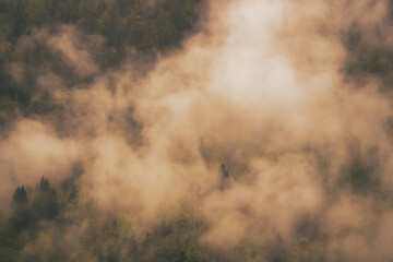 Apocalyptic fog over forest in the mountains - Königssee Alps