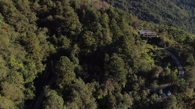 Toma con dron, un bosque de coniferas con una vuelta 365