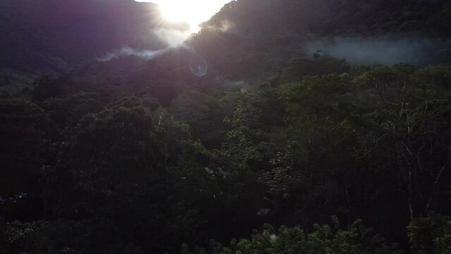Un hermoso y frio amanecer en medio de la selva de la reserva de la biosfera de los Tuxtlas en Veracruz, Mexico.