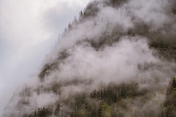 Fototapeta na wymiar Dramatic fog over forest and dark mood in the mountains - Königssee Alps
