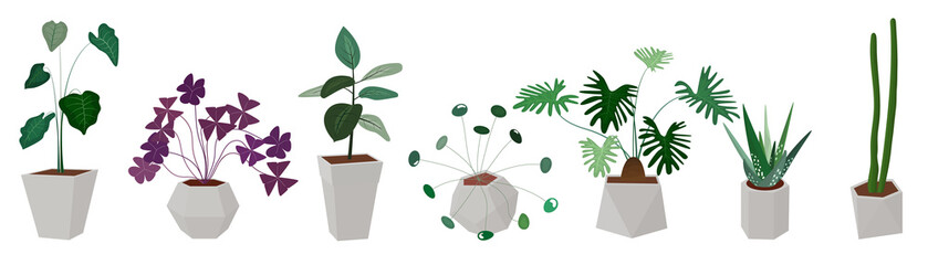 Potted plants vector collection on white background. Set of interior house plants with flower pot, cactus, vase, leaves and foliage. Different home indoor green decor illustration for decoration, art.