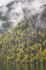 Dramatic fog over forest and dark mood in the mountains - Königssee Alps