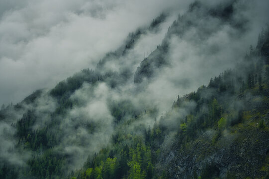 Dramatic fog over forest and dark mood in the mountains - Königssee Alps © Hanjin