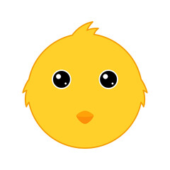 Fototapeta premium Cute Chicken face isolated on white background
