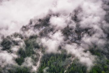 Dramatic fog over forest and dark mood in the mountains - Königssee Alps