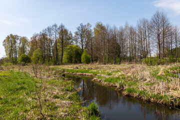 Wiosenne Podlasie. Wiosna w Dolinie Narwi, Polska - obrazy, fototapety, plakaty