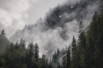 Dramatic fog over forest and dark mood in the mountains - Königssee Alps