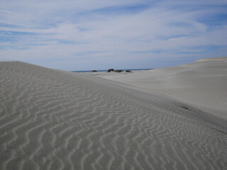 Dünenlandschaft