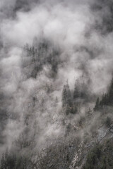Dramatic fog over forest and dark mood in the mountains - Obersee Königssee Alps