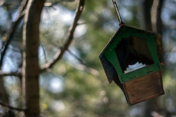 A bird feeder hangs in the forest on a blurred background. Table for birds in the forest. Bird feeders among the trees on a sunny day. Feeder for hungry birds. Forest without leaves on a sunny day.