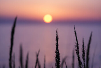 Sonnenuntergang am See