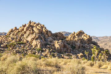 Rocky landscape in the middle of the desert