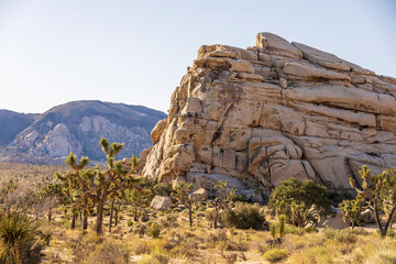 Rocky landscape in the middle of the desert