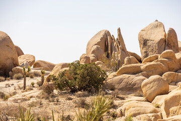 Rocky landscape in the middle of the desert