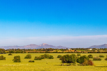 Blick auf das Tramuntana Gebirge auf Mallorca / Makorca
