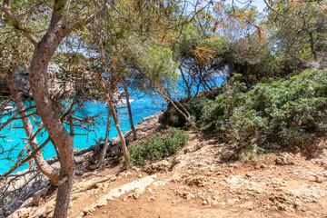 Fototapete bei efototapeten.de bestellen   