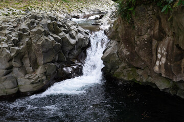 waterfall in the forest