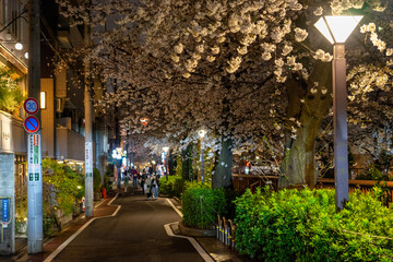 street at night