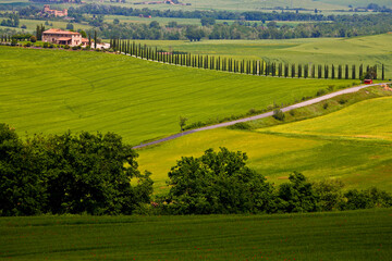 Obraz premium Val d'Orcia, panorami delle colline in primavera