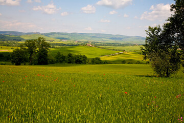 Val d'Orcia, panorami delle colline in primavera